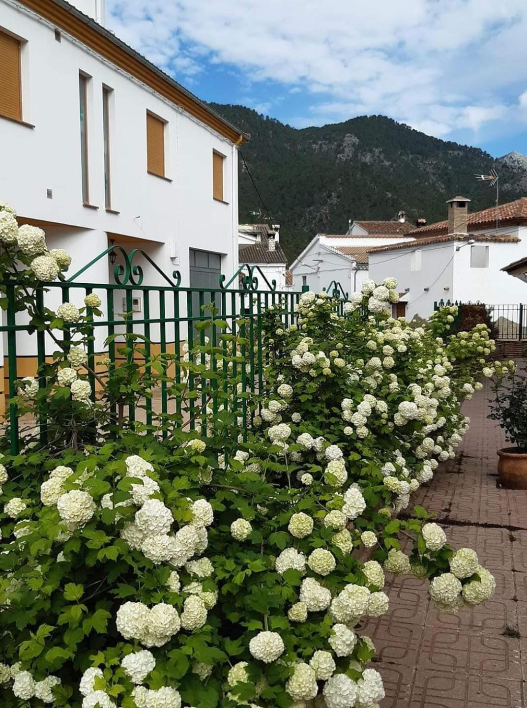 Albergue Ruta Rio Borosa Coto Ríos Esterno foto
